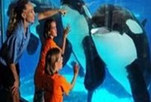 Sea World California with Transportation